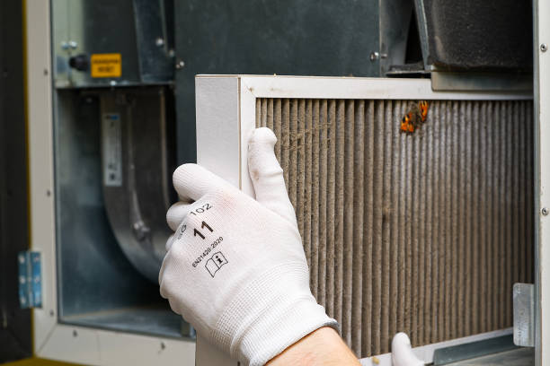 Best Professional Duct Cleaning Services  in Red Boiling Springs, TN